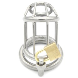 penal-code-locking-male-chastity-cage.jpg